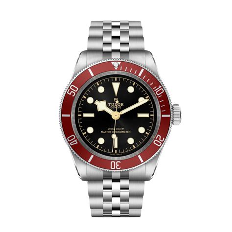 2023 tudor releases|tudor black bay 2023.